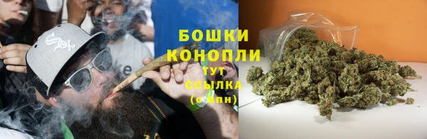 трава Арсеньев