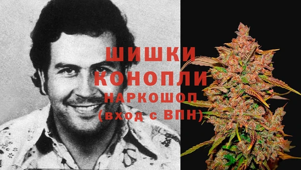 трава Арсеньев