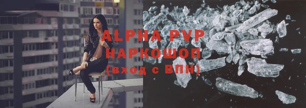 прущие грибы Павлово