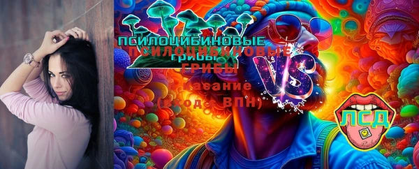 стафф Аркадак