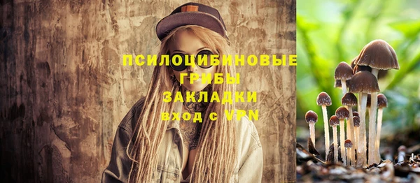 трава Арсеньев